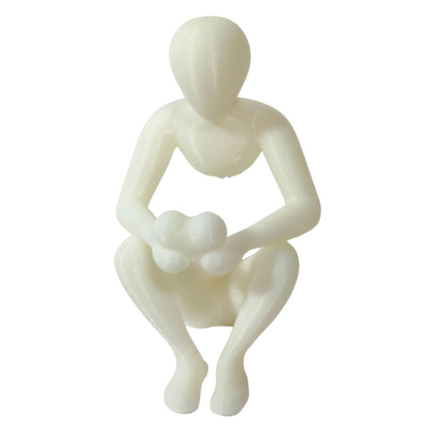 Statueta - Omul cu Inima